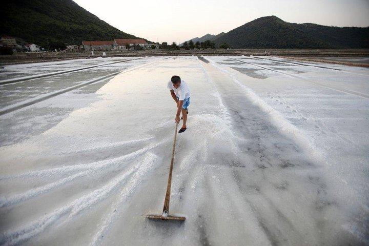 Excursão privada guiada a Ston e Pelješac saindo de Dubrovnik
