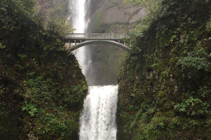 Visite en groupe privé jusqu'à 11 des gorges du Columbia et des cascades de Portland