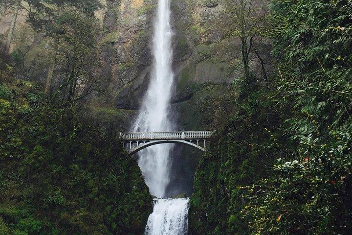 Visite en groupe privé jusqu'à 11 des gorges du Columbia et des cascades de Portland