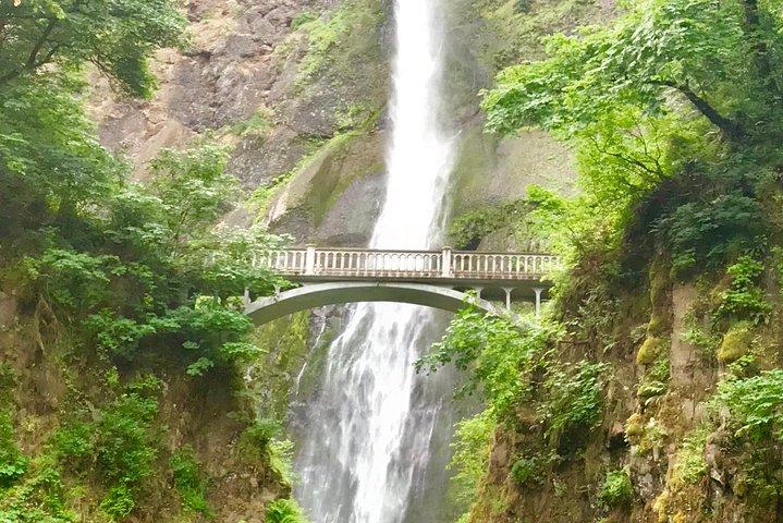 Private Group Tour upp till 11 av Columbia River Gorge & Waterfalls från Portland