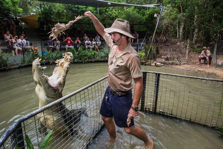 Hartley's Crocodile Adventures Day Trip da Palm Cove