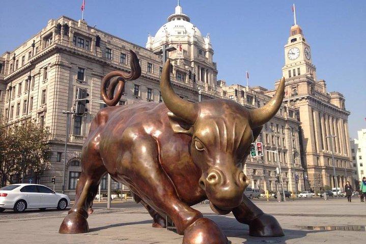 Full Day Private Tour Amazing Shanghai City Highlights