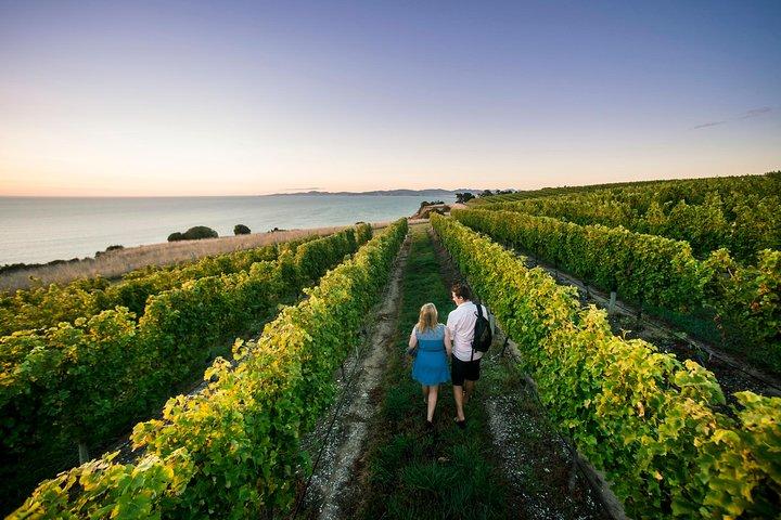 Tour de enólogos de día completo en Marlborough