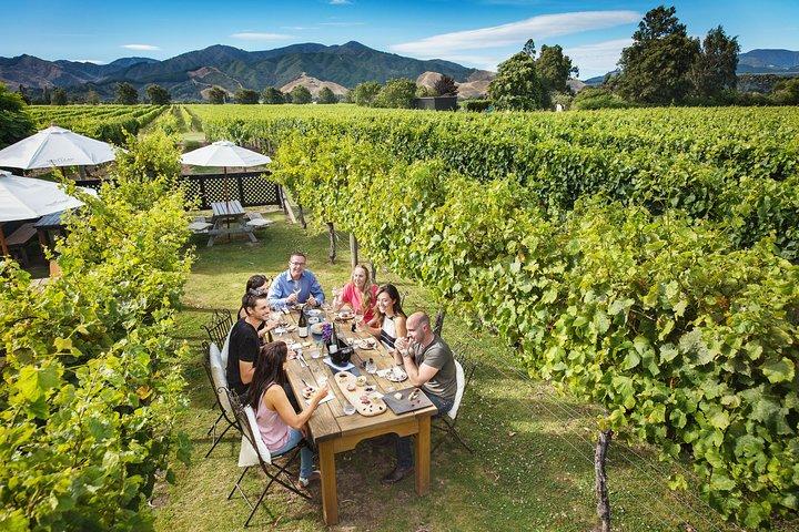 Tour de enólogos de día completo en Marlborough