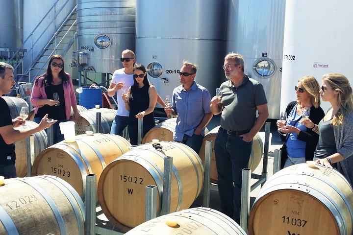 Tour de enólogos de día completo en Marlborough