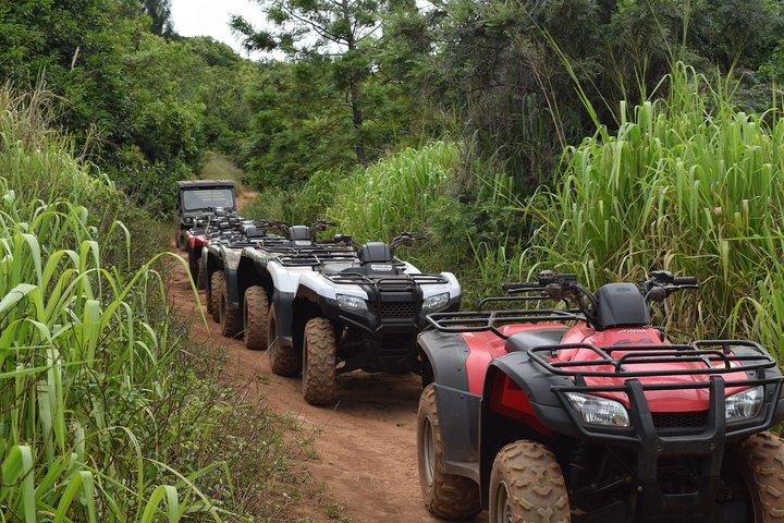 西マウイ山脈ATVアドベンチャー
