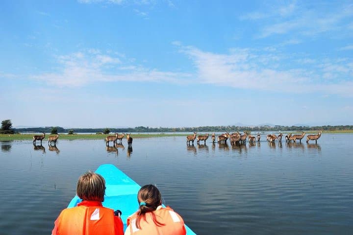 4 Days Special Lake Naivasha - Masai mara safari ( minimum 2 persons)