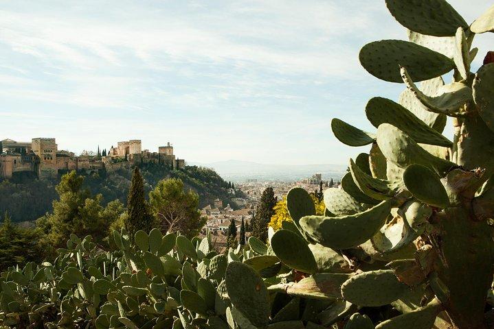 Granada: Tour Privado del Sacromonte