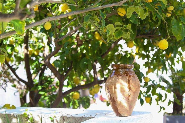Viator Exclusive: Local Cooking Class & Dinner with View of Nice