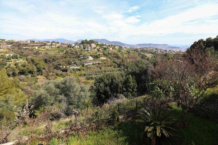 Viator Exclusive: Local Cooking Class & Dinner with View of Nice