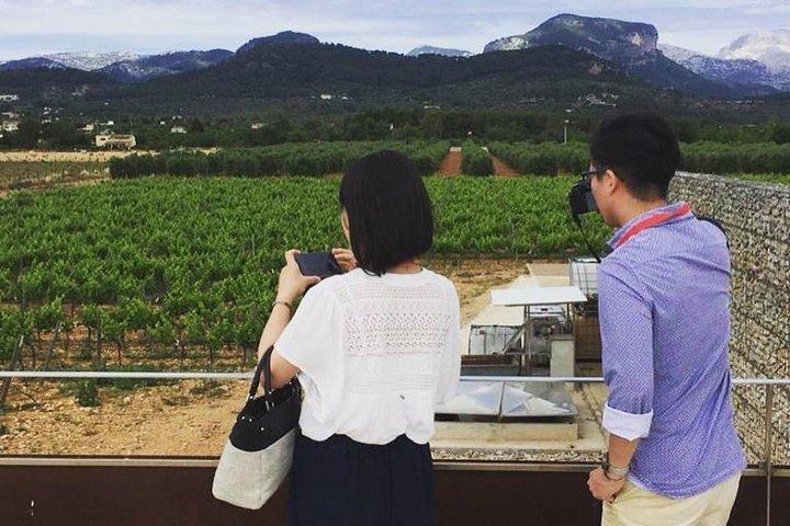Sa Clasta Mallorca vinture