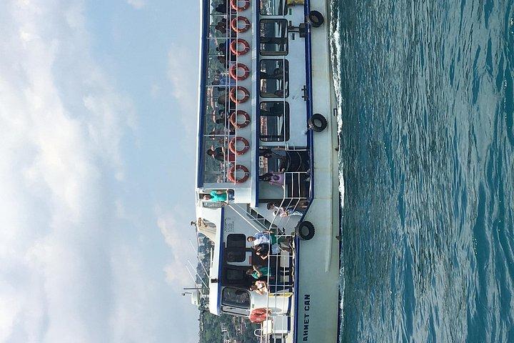 Bosphorus Cruise With Dolmabahçe Palace and Fortresses