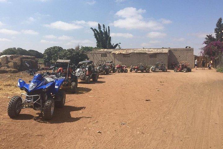 Quad Biking Half Day And Camel Ride In Sunset