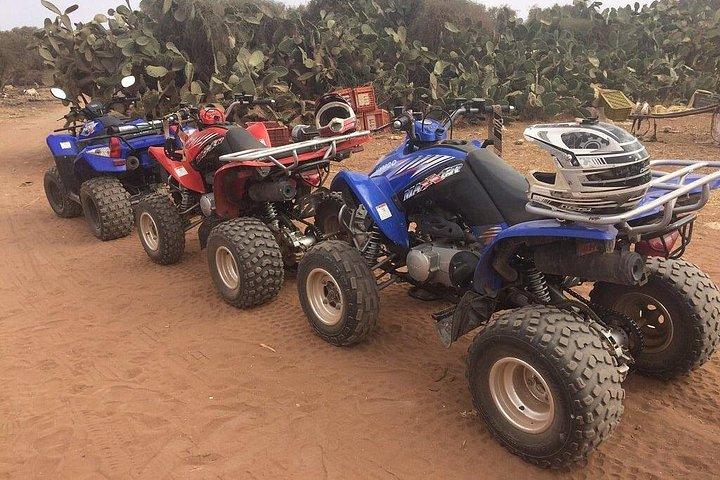 Quad Biking Half Day And Camel Ride In Sunset