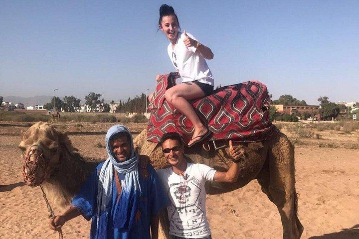 Quad Biking Half Day And Camel Ride In Sunset