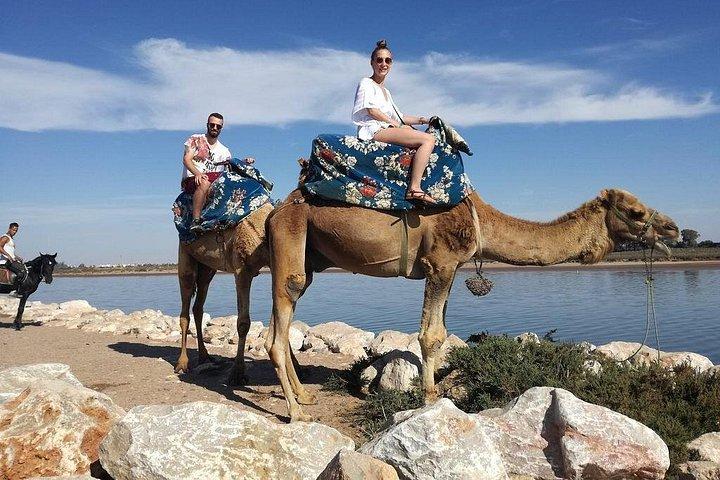 Quad Biking Half Day And Camel Ride In Sunset