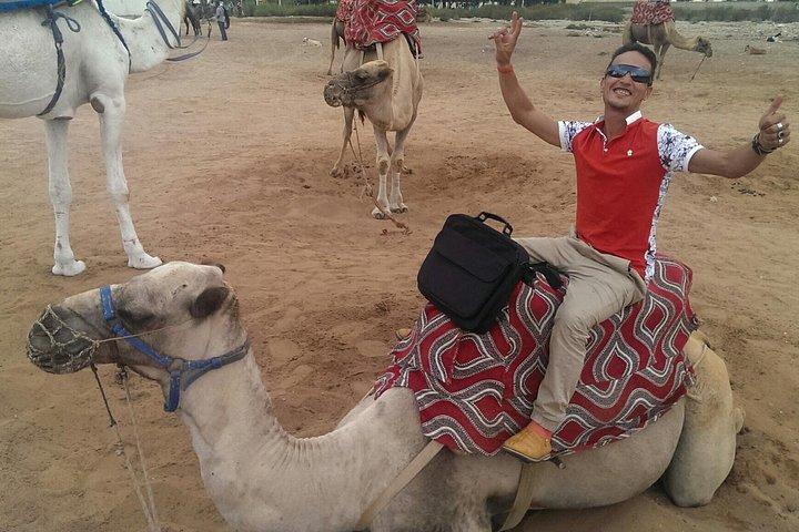Quad Biking Half Day And Camel Ride In Sunset