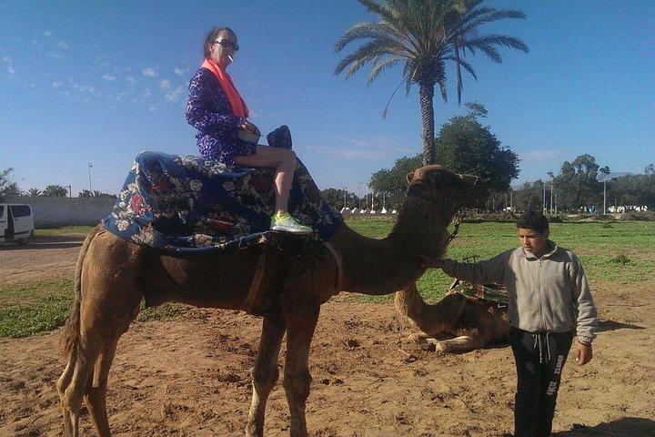 Quad Biking Half Day And Camel Ride In Sunset