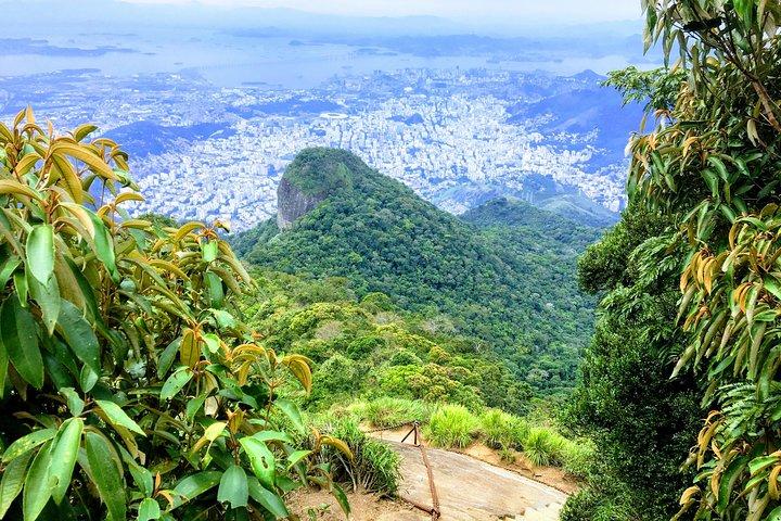 Tijuca Peak - Tijuca国立公園へのプライベートハイキングツアー - OIR Aventuraより