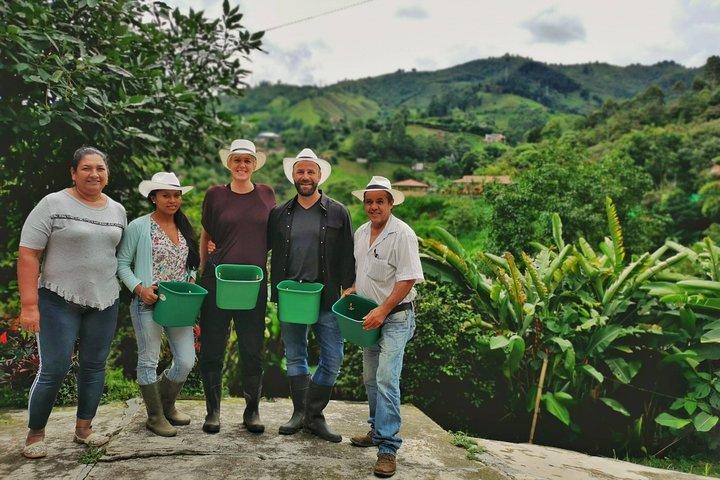 Private Kaffeefarm Tour in Medellin : Echte authentische Erfahrung