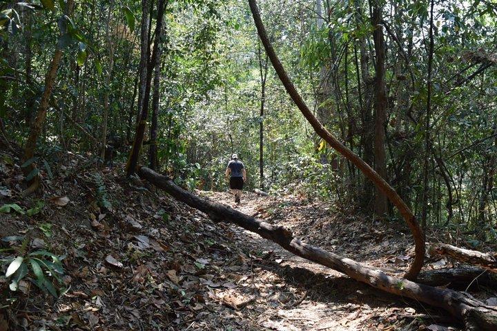 Half Day Doi Suthep Temple og kort trekking på munk trail (Private Tour)