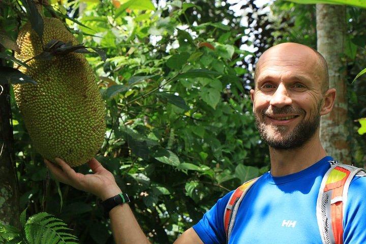 住民での昼食と森の中の本格的なハイキング