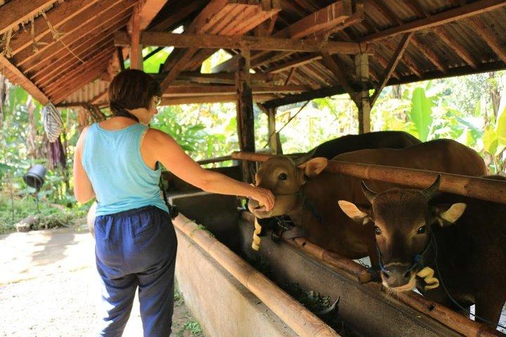 住民での昼食と森の中の本格的なハイキング