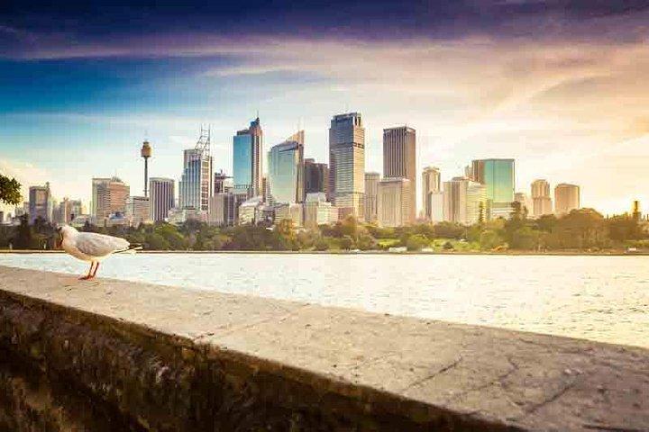 Private Halbtagestour durch Sydney und Bondi Beach