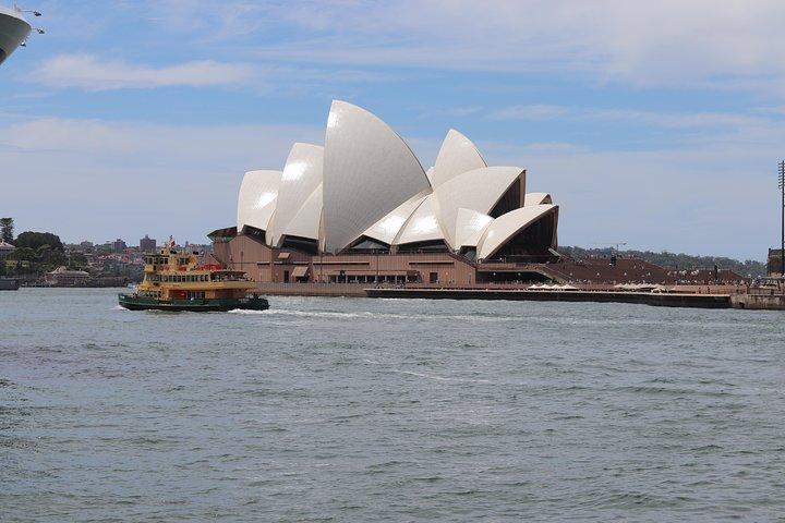 Private Halbtagestour durch Sydney und Bondi Beach