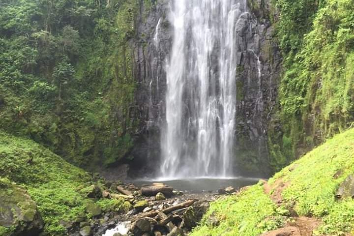 Volledige dag in materuni waterval en koffie tour met lokale gerechten