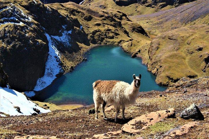 Ultimate Lares Trek & Inca Trail 5 jours