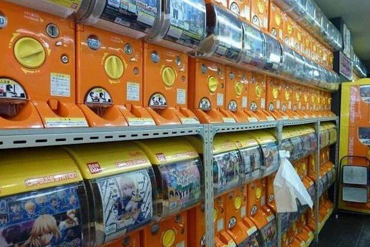 Private Akihabara Anime Guided Walking Tour
