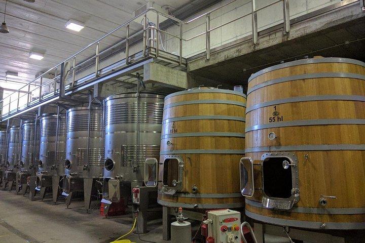 Wines Tasting and Typical Breakfast Small Group Tour from Girona