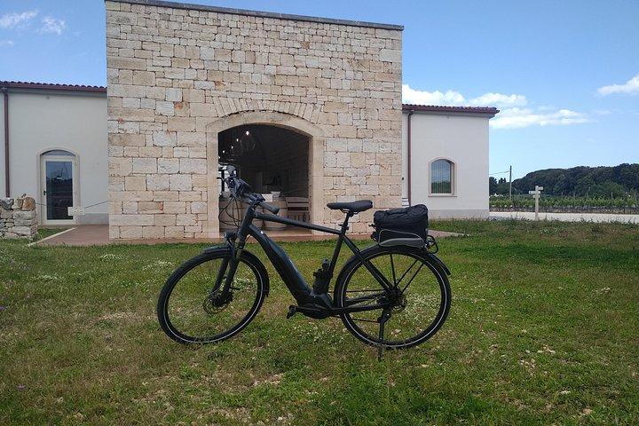 Tour in ebike: Alberobello e i vini della Valle d'Itria