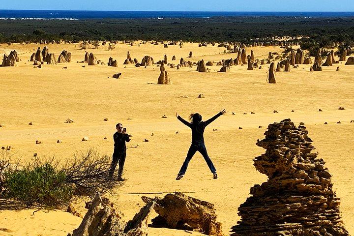 Excursion privée d'une journée dans le désert des Pinnacles