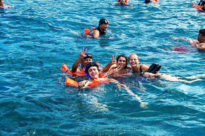 Snorkel Adventure! Jungle Tour, Puerto Morelos or Catamaran Sail