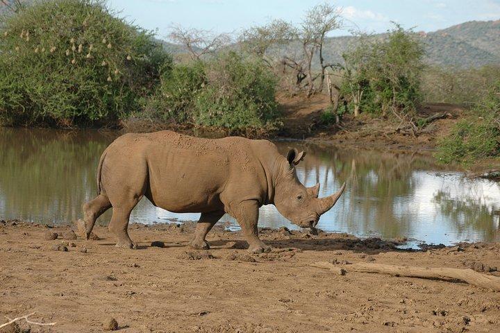 Tour de un día: Parque Nacional Arusha