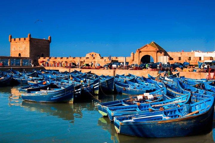Small-group Day Trip to Essaouira from Marrakech
