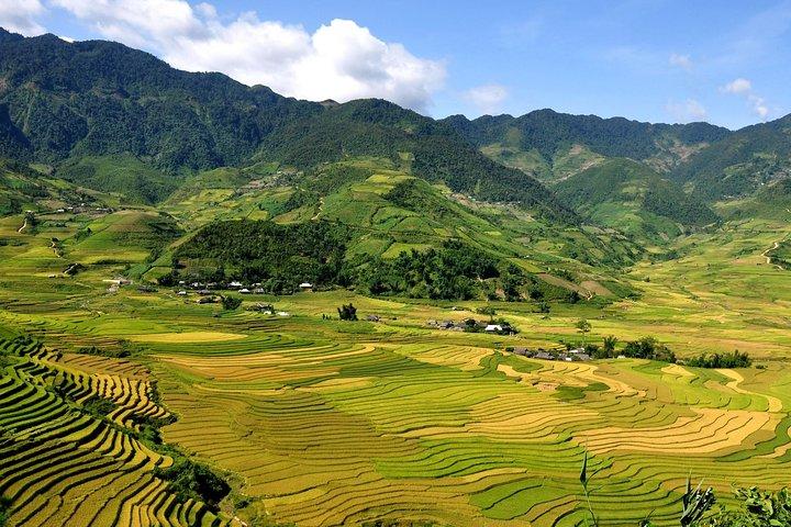 5 Tage 4 Nächte Lan Ha Bay-Sapa-Ninh Binh => Kostenloser Flughafentransfer & Street Food Tour