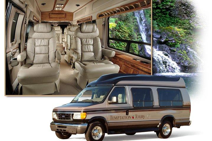Tour di lusso per piccoli gruppi: Road to Hana e Ka'eleku Cavern Day Trip