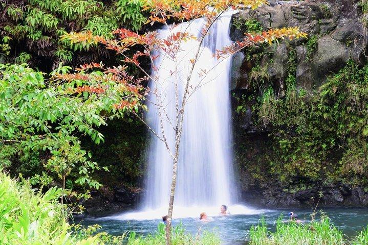 Tour di lusso per piccoli gruppi: Road to Hana e Ka'eleku Cavern Day Trip