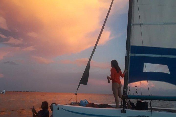 Sail Biscayne Bay : Ein intimes Öko-Abenteuer mit Schnorcheln