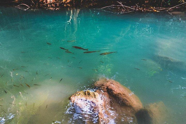 Cascade d'Erawan et soins aux éléphants : visite privée à Kanchanabur