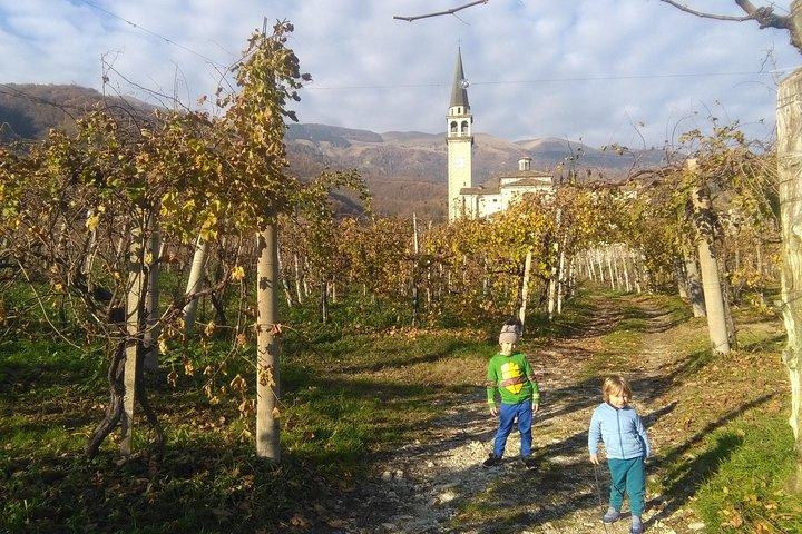 Hoteller i nærheden af Prosecco Hills Wine Tasting Tour