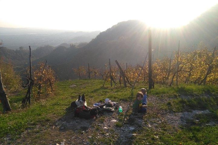 Hoteller i nærheden af Prosecco Hills Wine Tasting Tour
