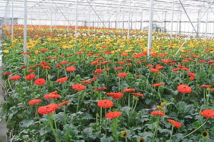 2DAY TOUR DA LAT to MUI NE