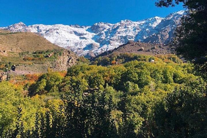 Atlas Mountains Day Trip med Camel Ride fra Marrakech inklusive frokost