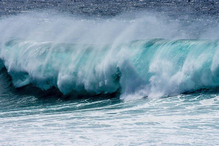 クルーズ客向けのフエルテベントゥラ島北部の写真付き