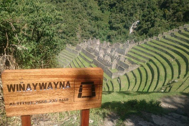 Kurzer Inkapfad nach Machu Picchu || 2 Tage - 1 Nacht ||
