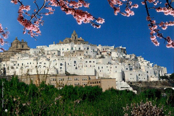 PUGLIA Tour Private Customizable Excl. with your Apulian friend